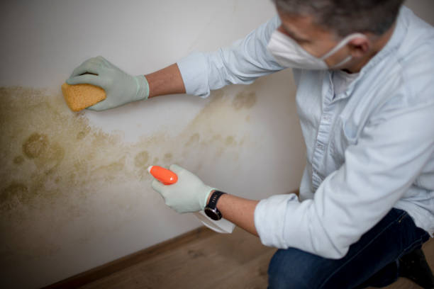 Best Crawl Space Mold Removal  in Orchard Grass Hills, KY